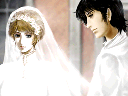 阿姆斯特丹:归乡、告白与婚礼